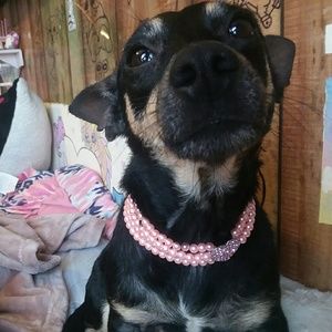 Meet your Posher, Star